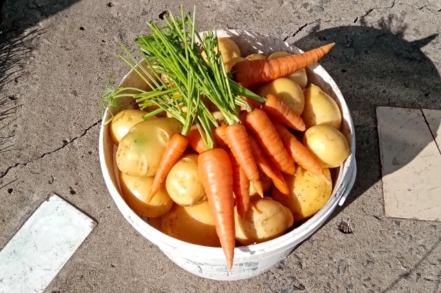 Прекрасный урожай.