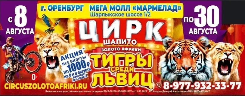 Цирк шапито