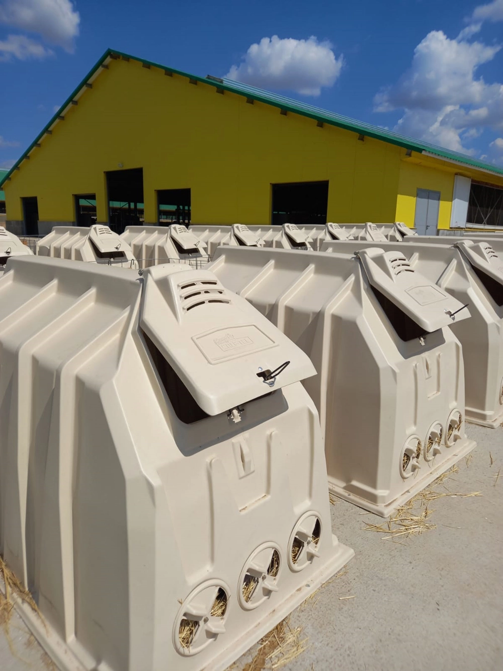 Так выглядят домики для новорождённых телят.