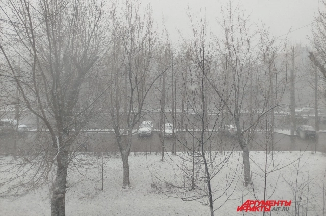 Снегопад продолжится до вторника 16 декабря.