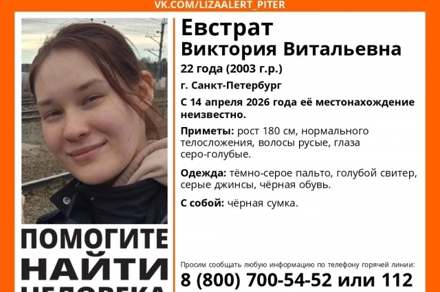 Ориентировка в соцсетях.