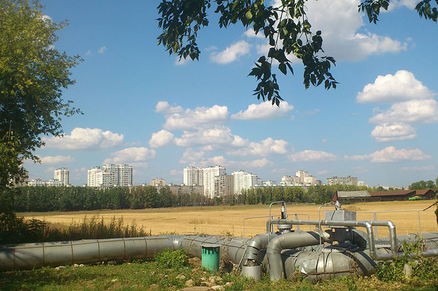 Опытное поле МСХА (северное). Вид на север с улицы Прянишникова.