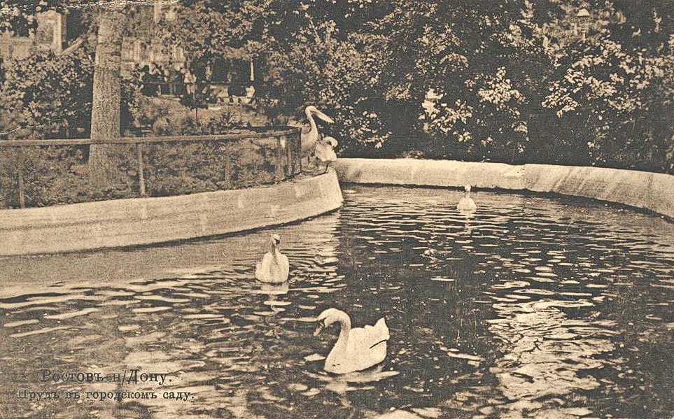 Когда-то в водоемах Городского сада плавали лебеди.