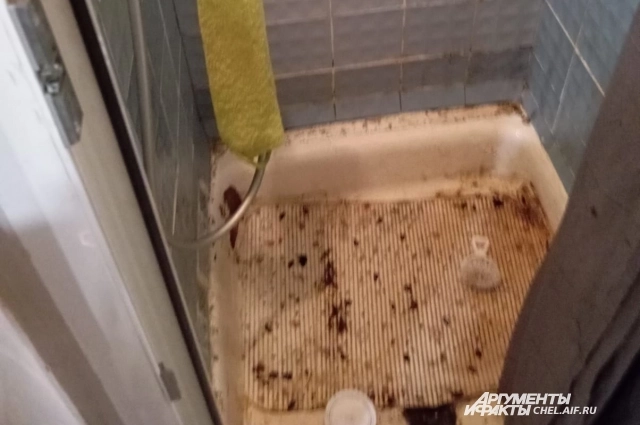 Душ вместо ванны - не лучший вариант.