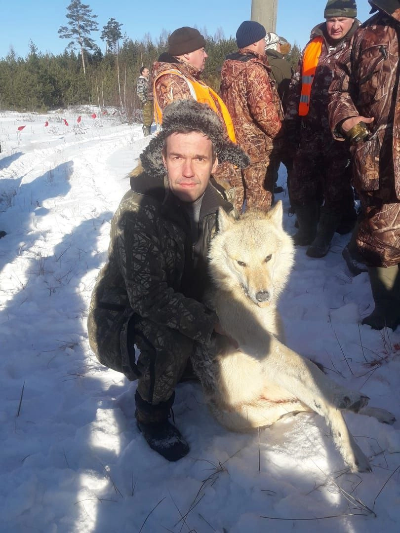 добычей может быть разная дичь. За убийство 