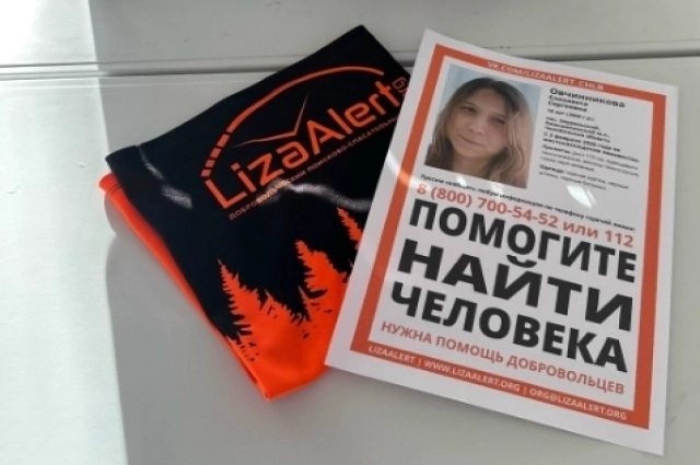Листовки с описанием пропавшей Елизаветы Овчинниковой.