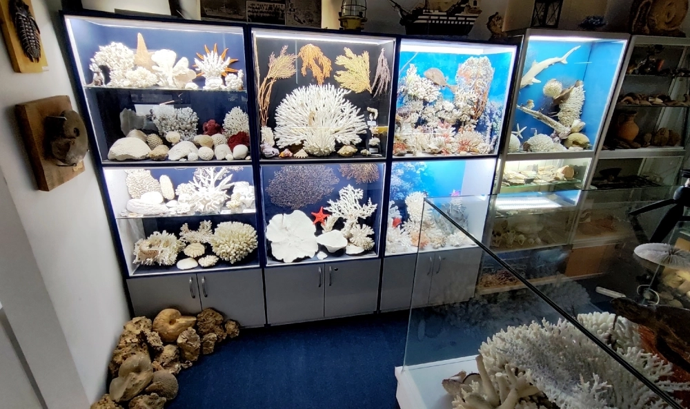 Экспонаты в музее крымского энтузиаста.