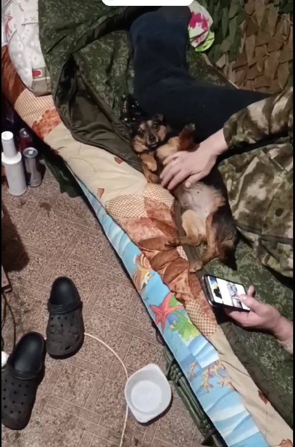 Видео о буднях бойцов Леон присылал отцу.