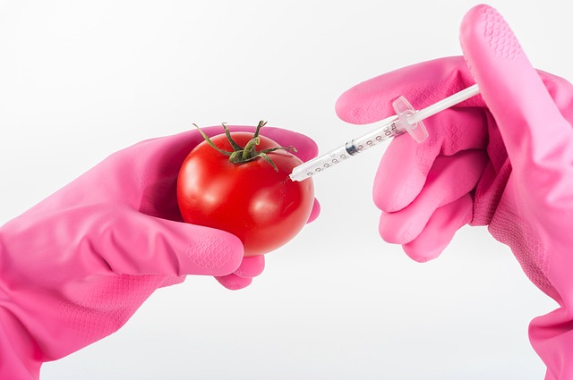 продукты с ГМО не так уж опасны!