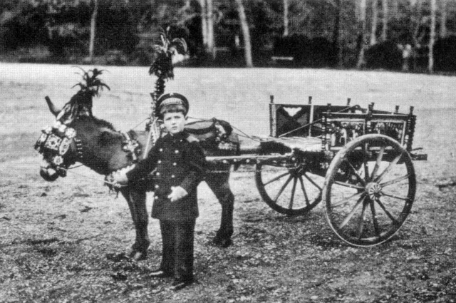Царевич Алексей, 1908 г.
