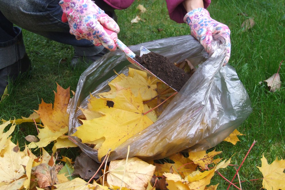 2. На листья насыпаем совок компоста.