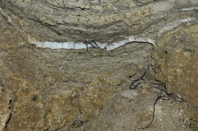 В пещере обнаружили селенитовые пласты и гипсовые кристаллы. 