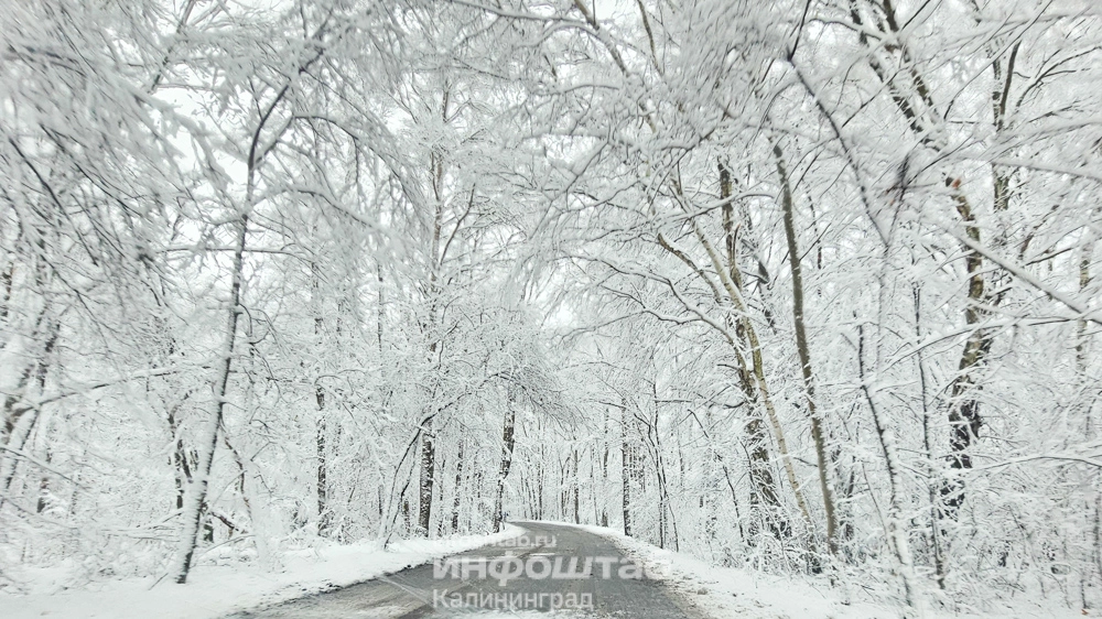 Снегопад, снег, зима