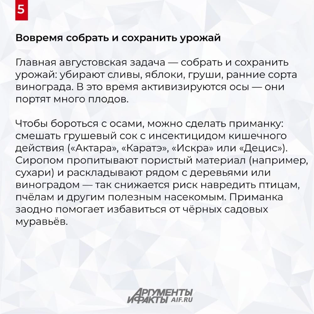 Нажмите для увеличения
