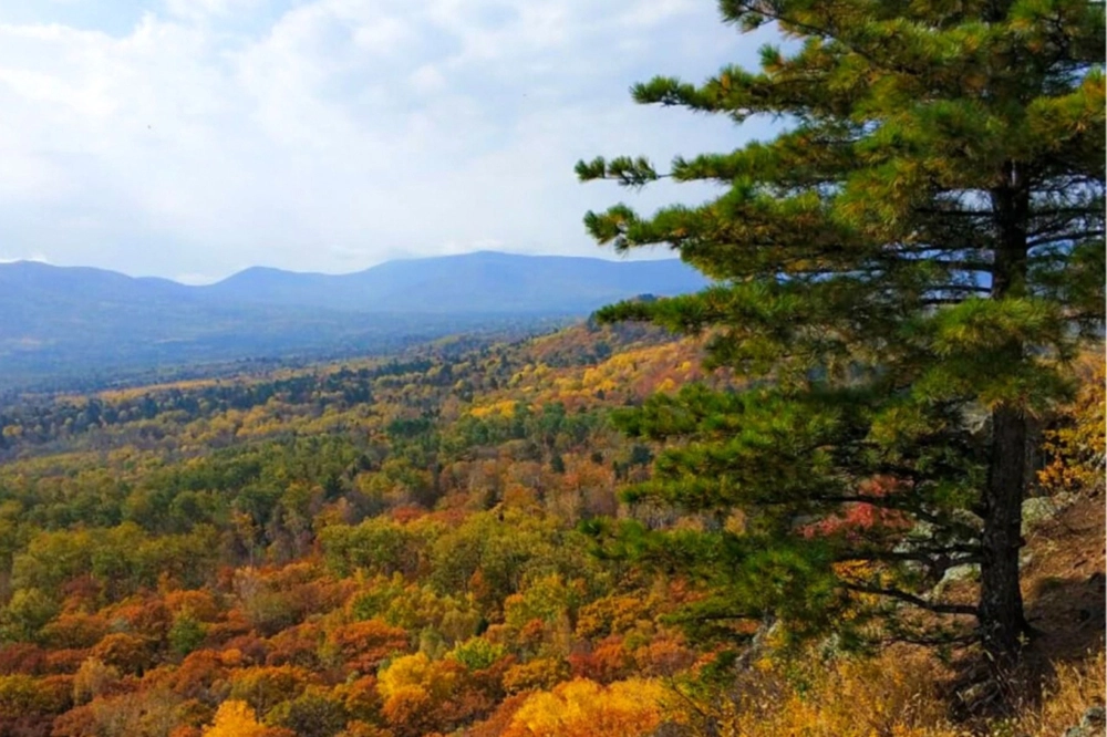 Туристические тропы.