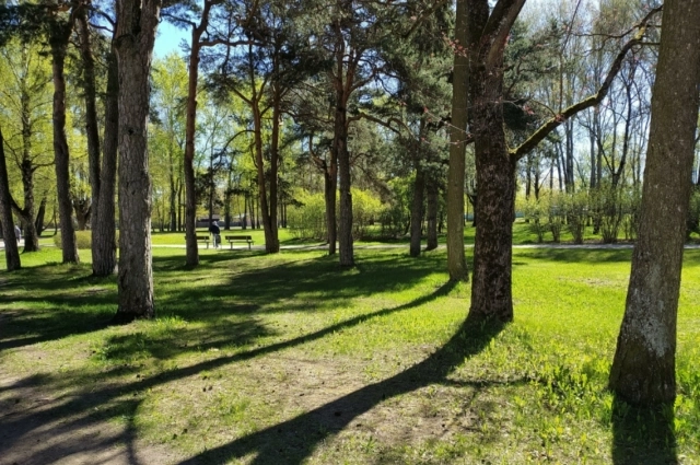 Если солнечно с утра — сушь продлится полтора месяца.