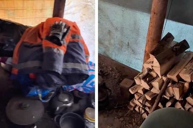 Коллаж в тайге