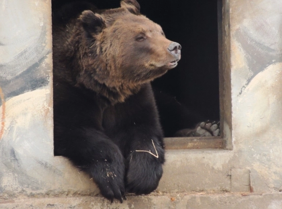 Постепенно Топа показывался на свежем воздухе.
