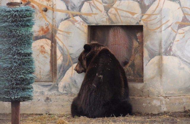 Эх, в тепло не вернуться!