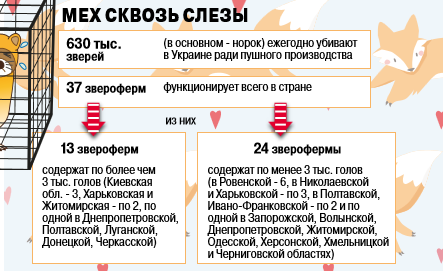 инфографика