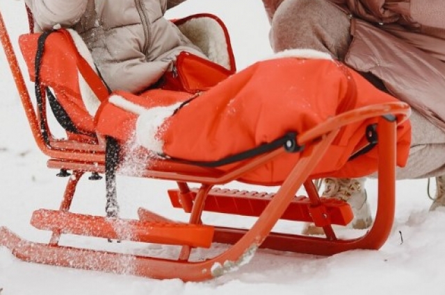 Женщина везла дочь в санках, благодаря чему удалось избежать нападения.