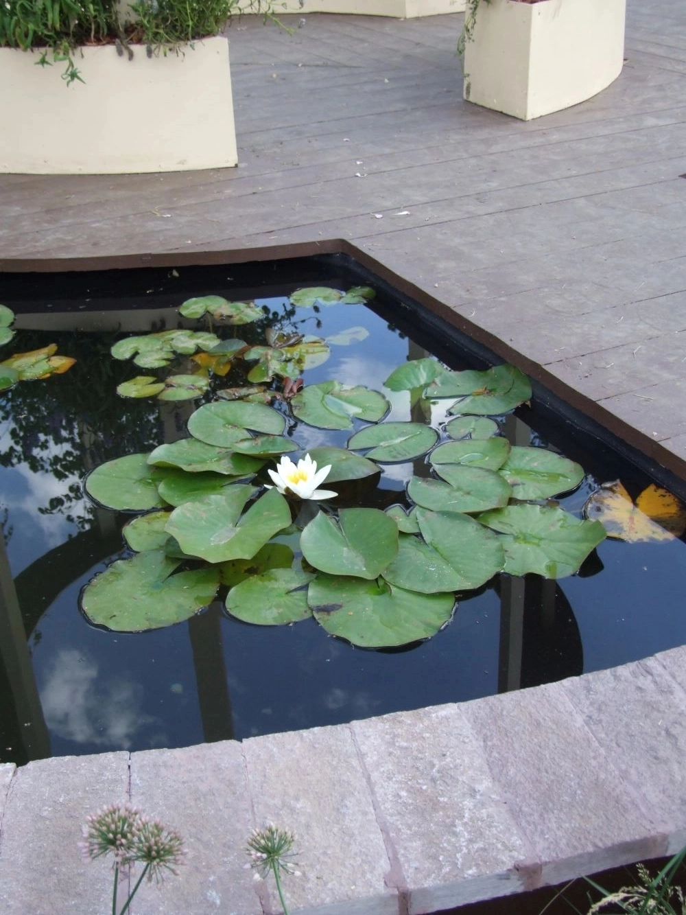 Архитектурный водоём.