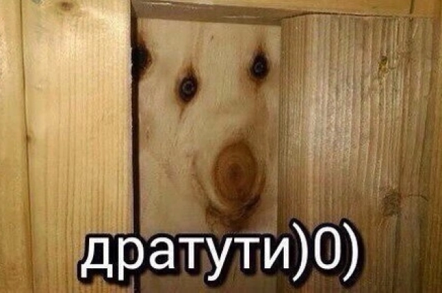 Мем из 2016-го.