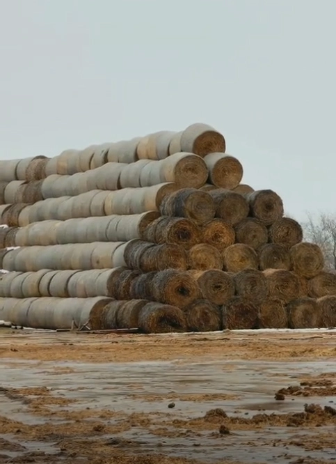 В агрофирме «Уралан» созданы запасы для зимовки трёх тысяч голов КРС.