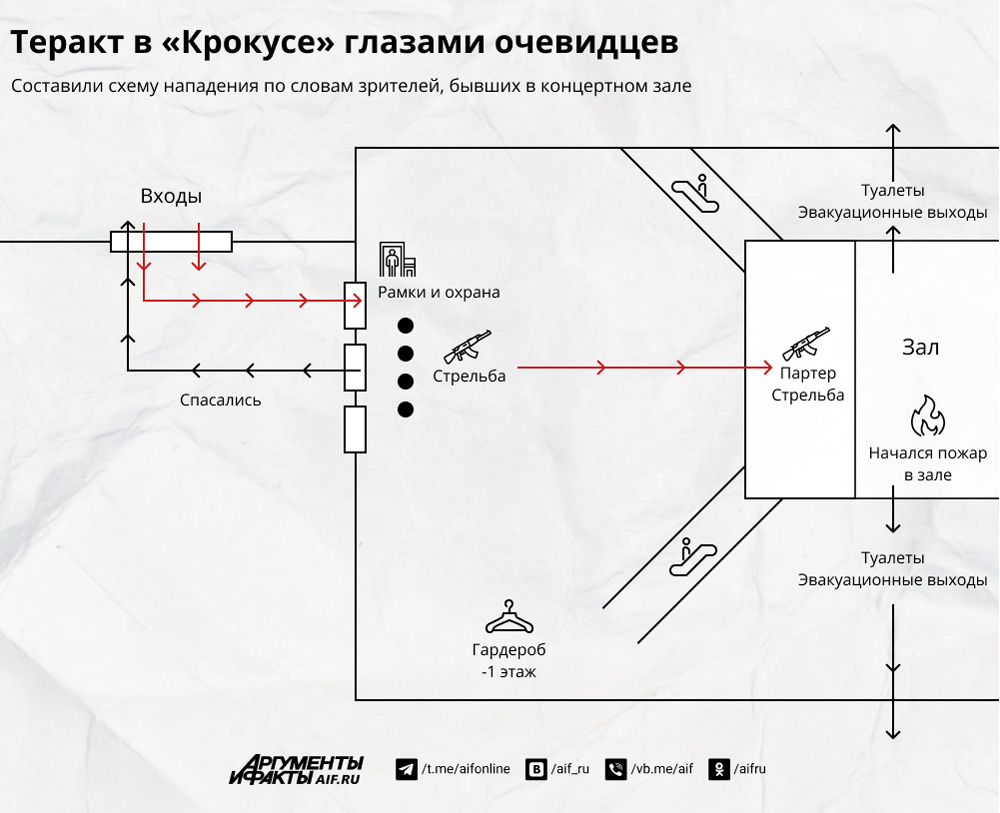 Теракт в «Крокусе» глазами очевидцев. Инфографика | Аргументы и Факты