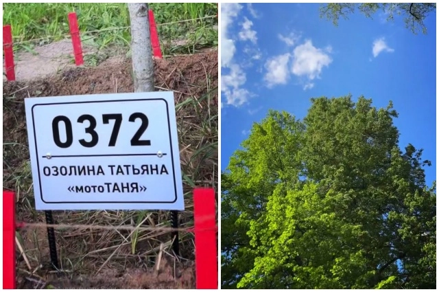 На аллее «Вечный сезон».