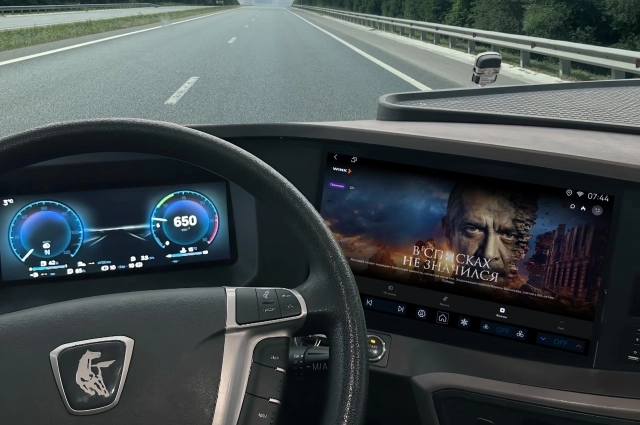 Кошку забили в салоне грузовика.