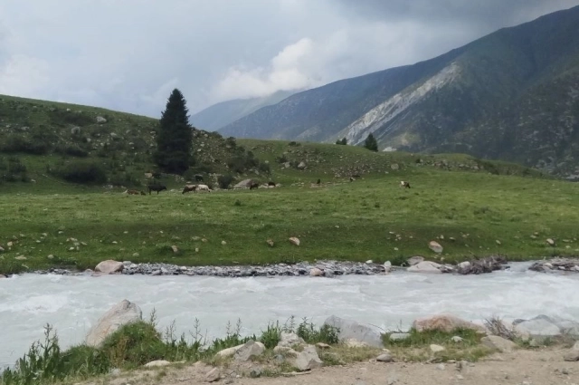 Вокруг живописные ландшафты.