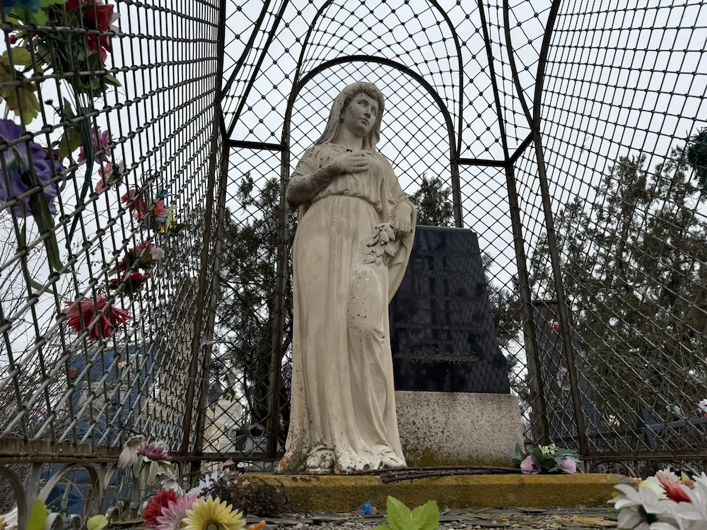 Мария Шмидт