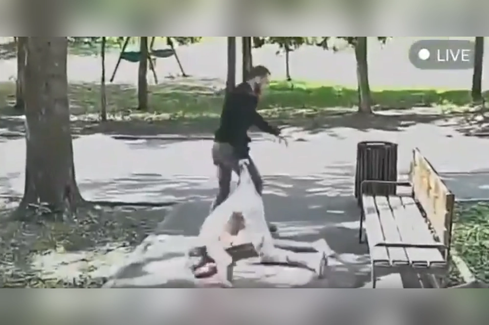 Пострадавшая сейчас находится в больнице.