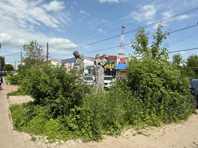 Заросли бурьяна на Московской улице.