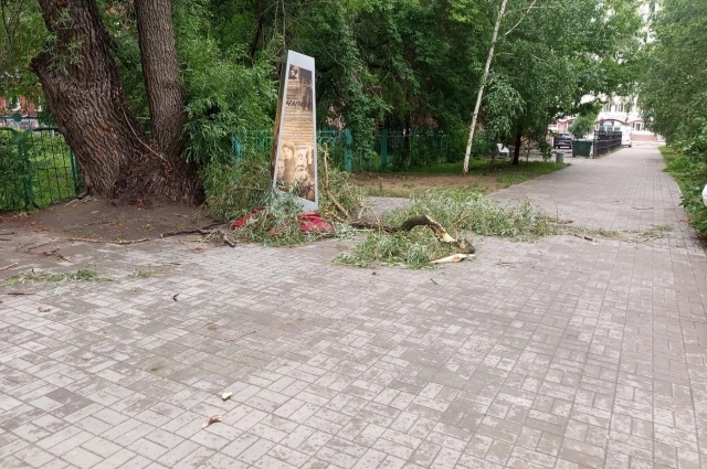 Оборвавшиеся ветки лежат практически везде.