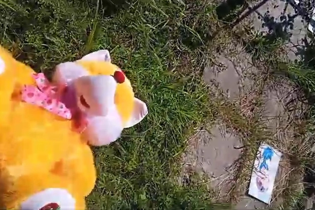 Игрушка с могилы ребенка.