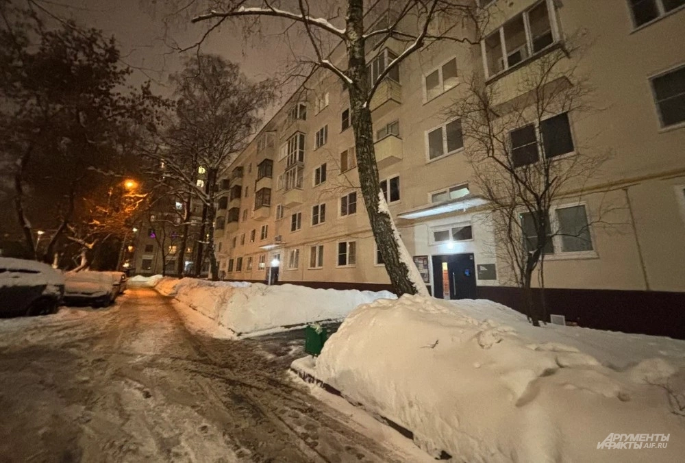 Квартира Ларисы Долиной в ЮВАО, Лефортово