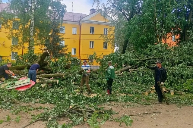 Последствия урагана удалось быстро преодолеть благодаря сплочённости ржевитян.