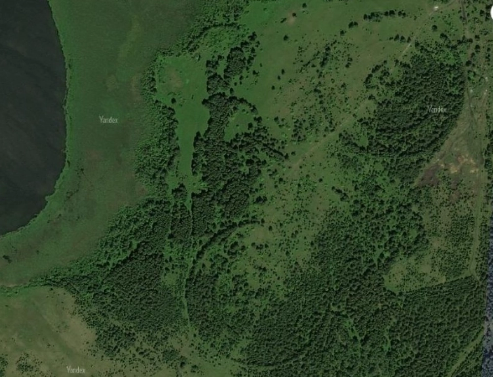 Так таинственные круги выглядят из космоса.