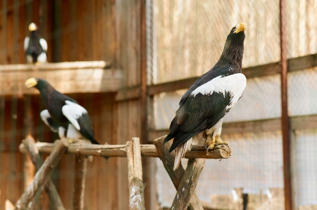 Сотрудники ВИЗ-Стали победили в конкурсе эковолонтерских проектов