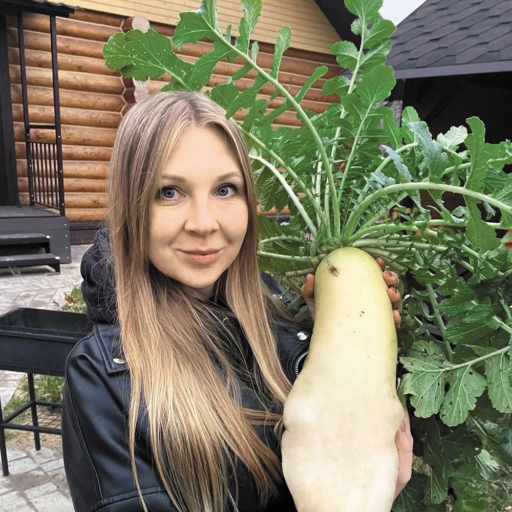 3На грядке с плотной почвой вырос дайкон - монстр.