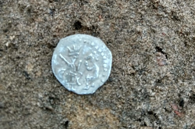 серебряная монета 