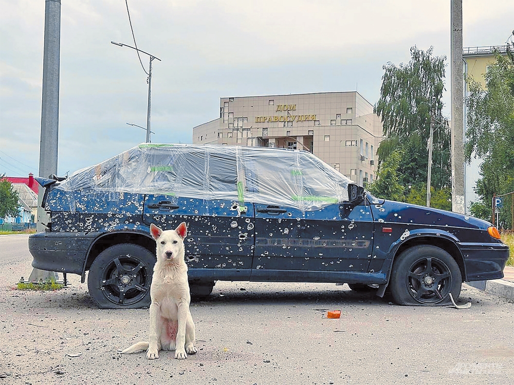 «Война – это брошенный хозяевами пёс, умирающий от обезвоживания в месте, где столкнулись чьи-то амбиции и идеи».