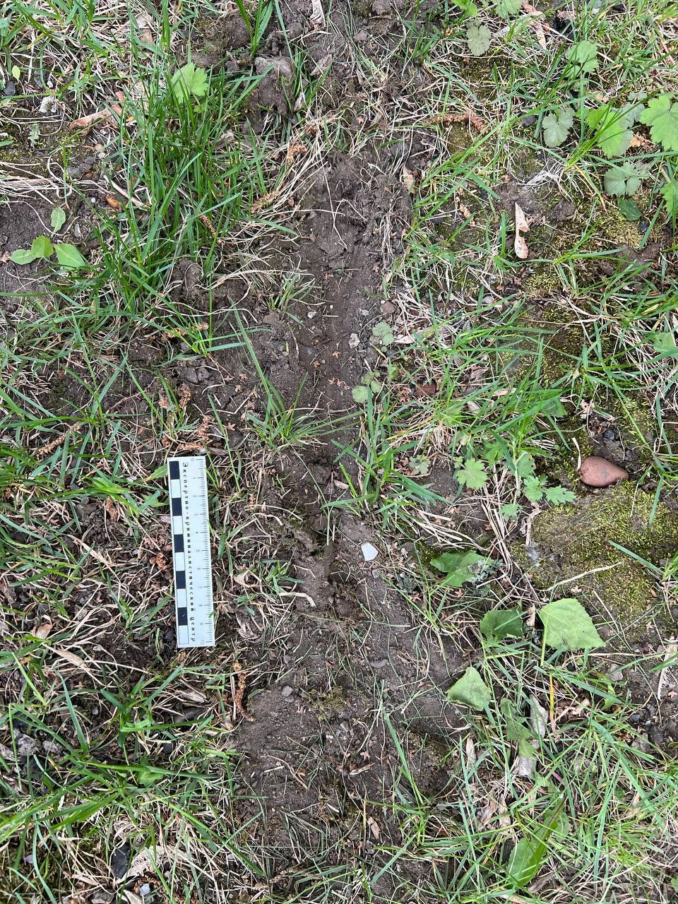 Здесь нашли выброшенную из окна девушку.