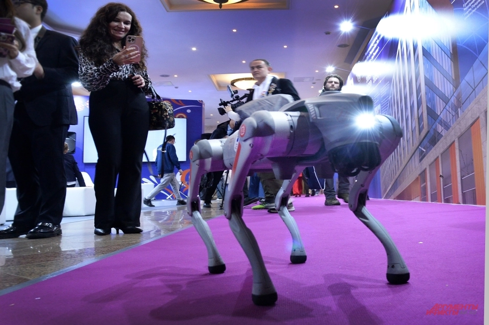 Международный фестиваль «Наука 0+».