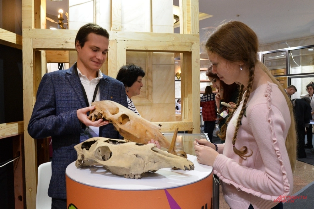 Международный фестиваль «Наука 0+».