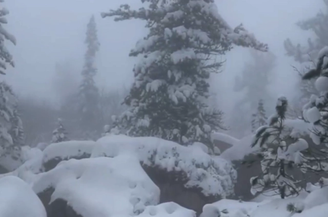 Место поиска пропавшей семьи Усольцевых завалило снегом.