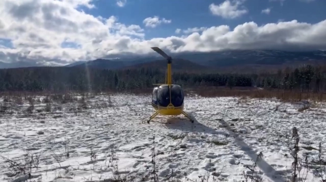 Облеты с воздуха не дали результатов.