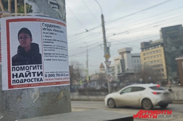 Ориентировки наклеены почти по всему Иркутску.